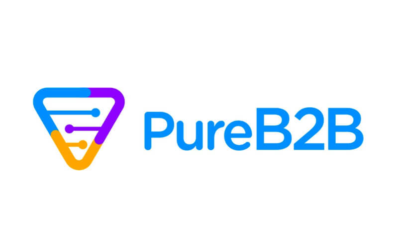 Pure B2B Logo